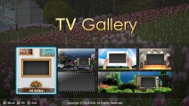 TV Gallery